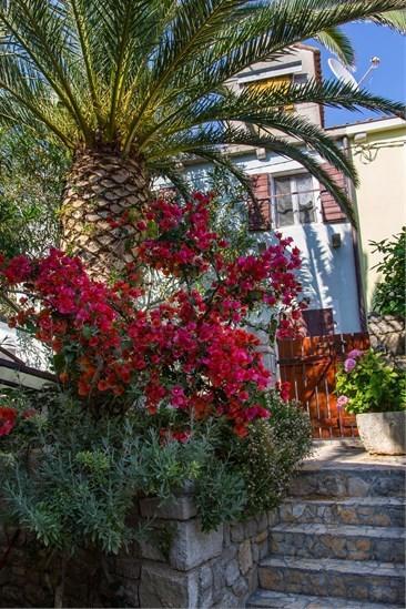 Apartment Julia Veli Lošinj Eksteriør billede